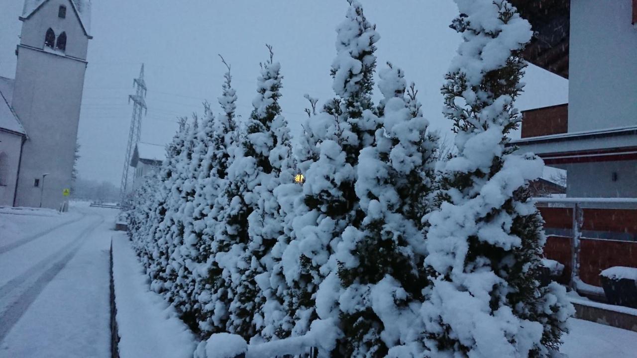 Apart Pfister Aschau Im Zillertal Dış mekan fotoğraf