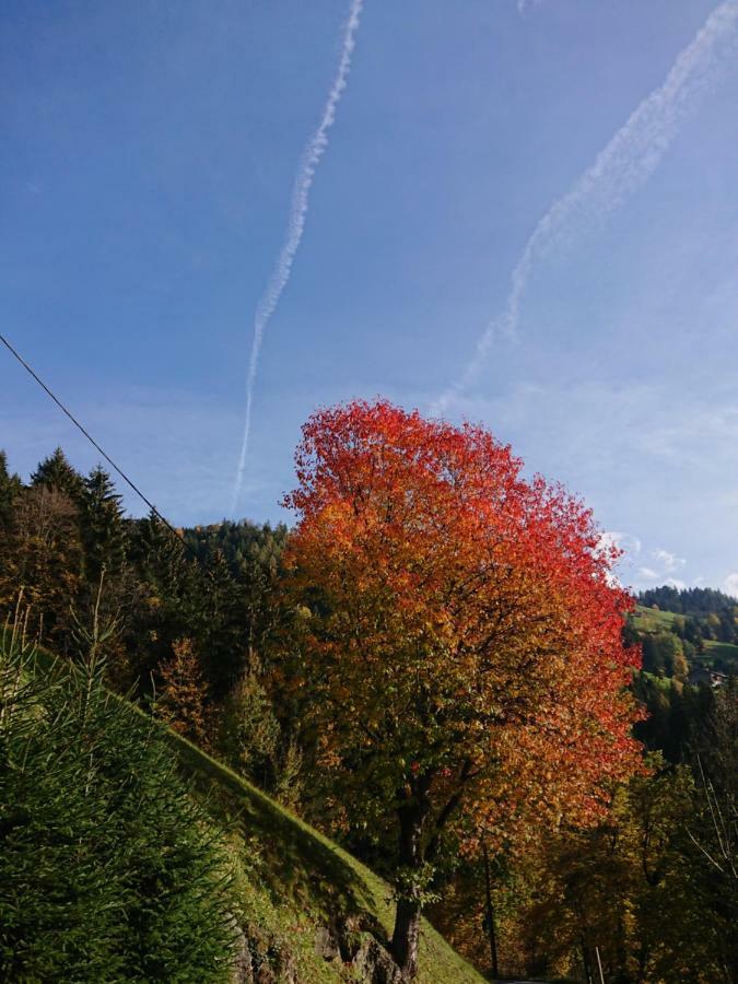 Apart Pfister Aschau Im Zillertal Dış mekan fotoğraf